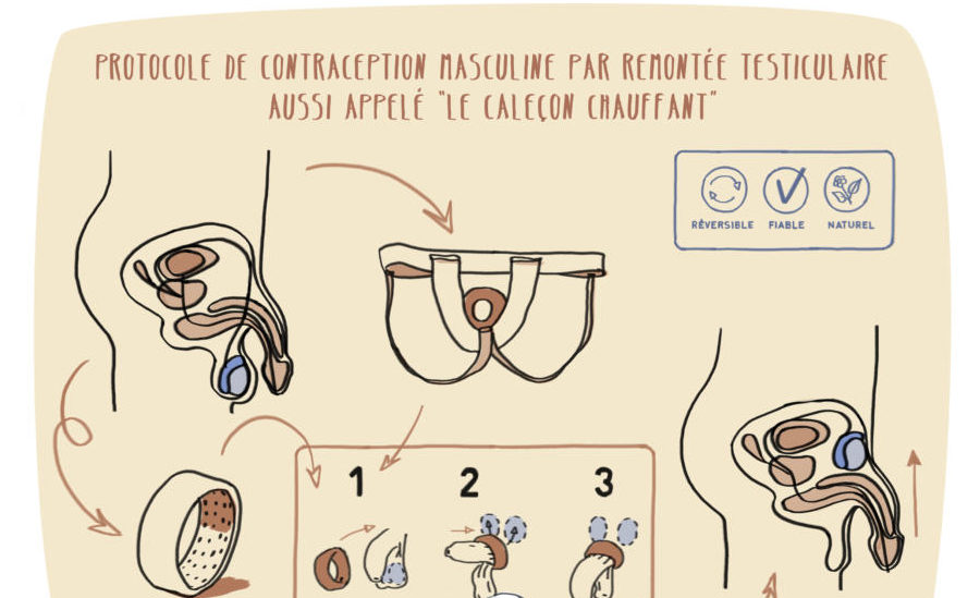 Contraception masculine : le tour de la question – Alter Echos